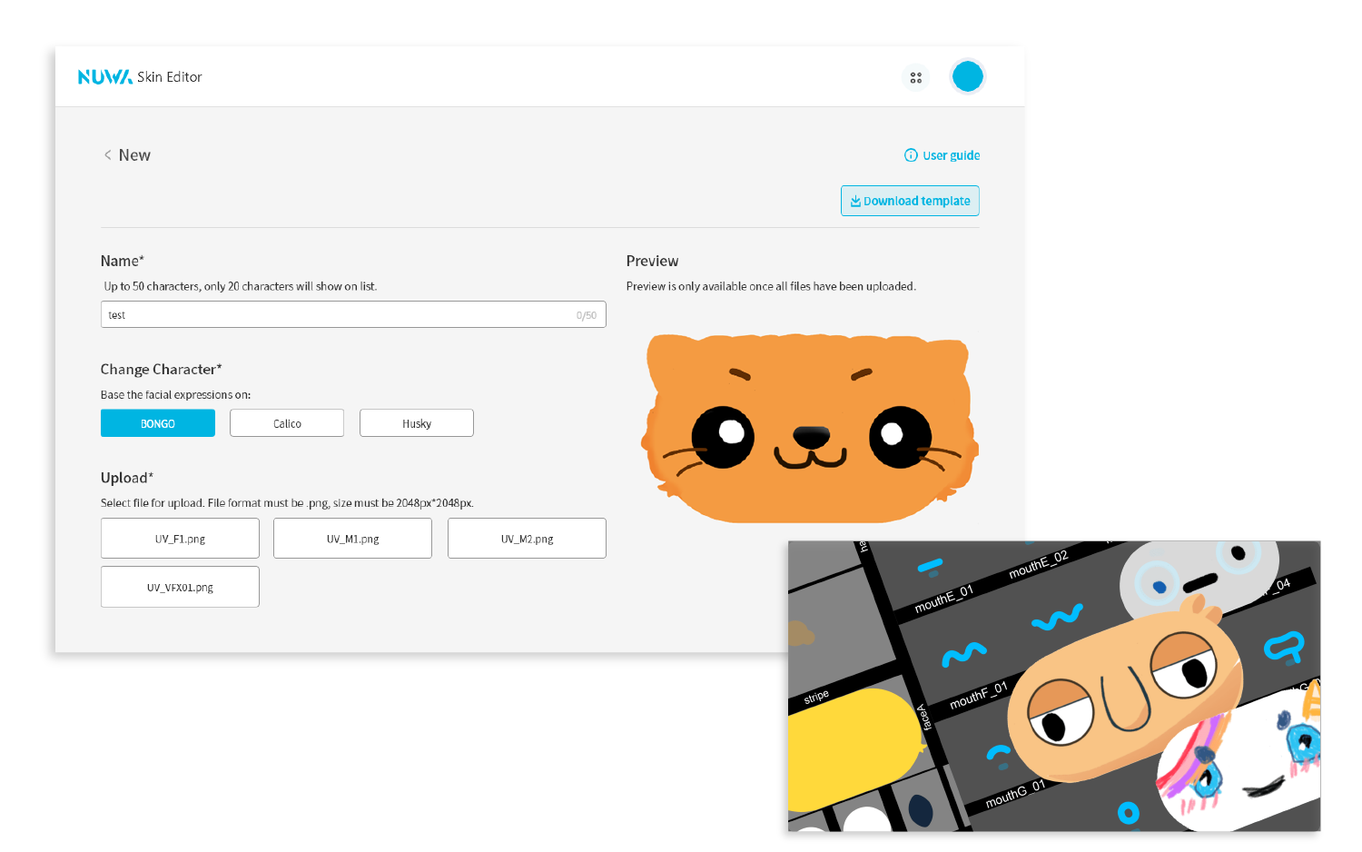 SkinEditor_En